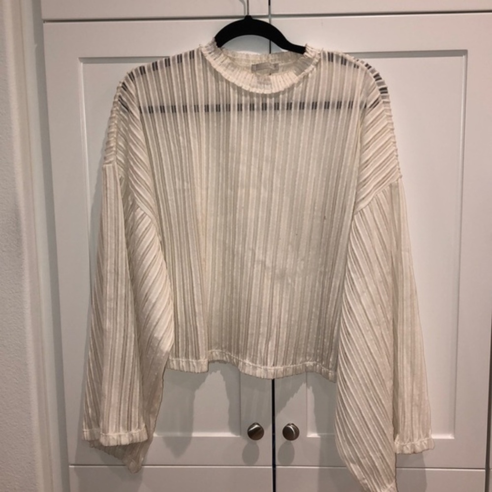 Zara Off White SemiSheer Wide Sleeve Crop Mesh Top